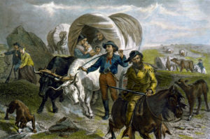 Migration Migration